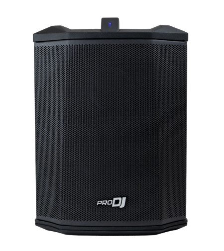 PARLANTE RECARGABLE PRO DJ P1 GO